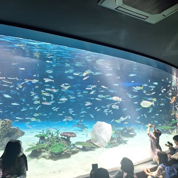 サンシャイン水族館に投稿された画像（2025/5/4）