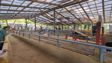 阿蘇カドリー・ドミニオンに投稿された画像（2025/5/4）