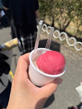 野外民族博物館 リトルワールドに投稿された画像（2025/5/4）