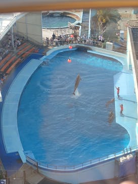 南知多ビーチランド＆南知多おもちゃ王国に投稿された画像（2025/5/4）