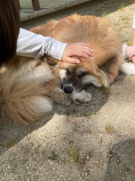 阿蘇カドリー・ドミニオンに投稿された画像（2025/5/4）