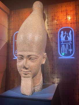 ACN ラムセス大王展 ファラオたちの黄金に投稿された画像（2025/5/4）
