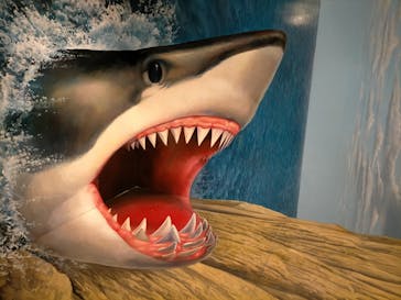 東京トリックアート迷宮館に投稿された画像（2025/5/4）