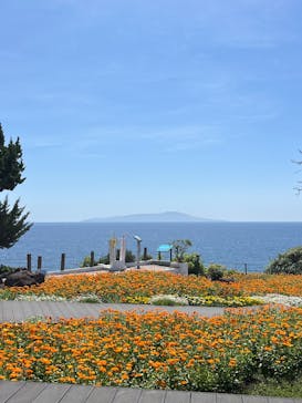 ニューヨークランプミュージアム＆フラワーガーデンに投稿された画像（2025/5/4）