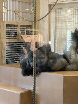 名古屋市東山動植物園に投稿された画像（2025/5/4）