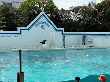 しながわ水族館に投稿された画像（2025/5/4）