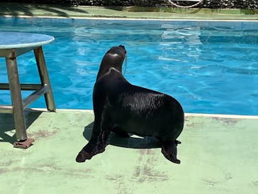 あわしまマリンパークに投稿された画像（2025/5/4）