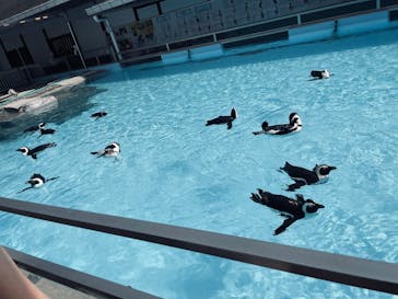 掛川花鳥園に投稿された画像（2025/5/4）