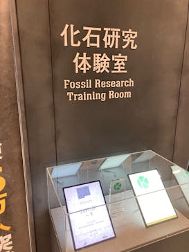 福井県立恐竜博物館に投稿された画像（2025/5/4）