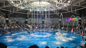 マクセル アクアパーク品川に投稿された画像（2025/5/4）