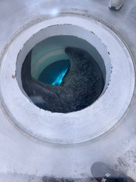 しながわ水族館に投稿された画像（2025/5/4）