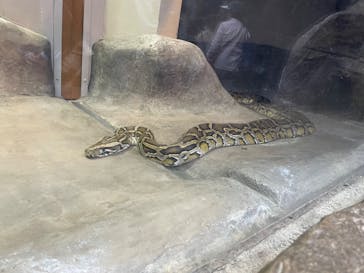 恩賜上野動物園に投稿された画像（2025/5/4）