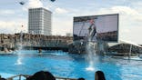 名古屋港水族館に投稿された画像（2025/5/4）