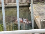 宇都宮動物園に投稿された画像（2025/5/4）