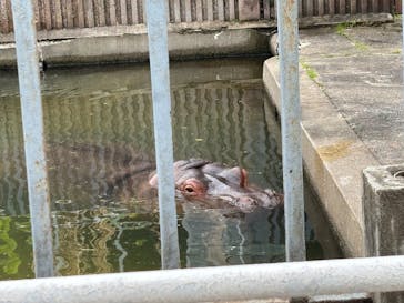 宇都宮動物園に投稿された画像（2025/5/4）