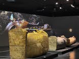 MYSTERY OF TUTANKHAMEN 体感型古代エジプト展に投稿された画像（2025/5/4）