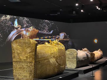 MYSTERY OF TUTANKHAMEN 体感型古代エジプト展に投稿された画像（2025/5/4）