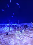 仙台うみの杜水族館に投稿された画像（2025/5/4）