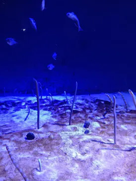 仙台うみの杜水族館に投稿された画像（2025/5/4）