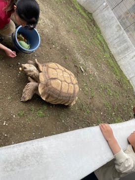 霞ケ浦 どうぶつとみんなのいえに投稿された画像（2025/5/4）