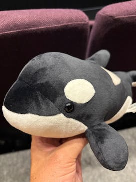 名古屋港水族館に投稿された画像（2025/5/4）