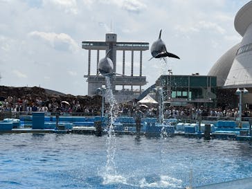 名古屋港水族館に投稿された画像（2025/5/4）