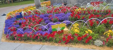 マリンワールド海の中道に投稿された画像（2025/5/4）