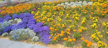 マリンワールド海の中道に投稿された画像（2025/5/4）