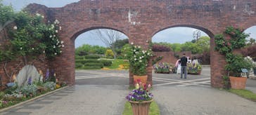 マリンワールド海の中道に投稿された画像（2025/5/4）