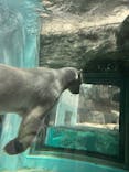 静岡市立日本平動物園に投稿された画像（2025/5/4）