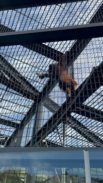 静岡市立日本平動物園に投稿された画像（2025/5/4）