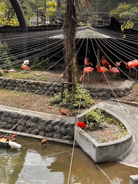 静岡市立日本平動物園に投稿された画像（2025/5/4）