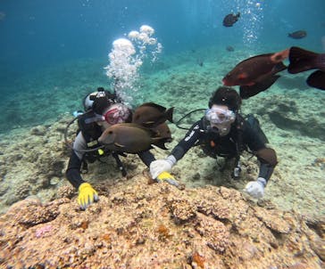 武藤潜水に投稿された画像（2025/5/4）