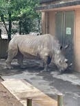 静岡市立日本平動物園に投稿された画像（2025/5/4）