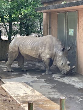 静岡市立日本平動物園に投稿された画像（2025/5/4）