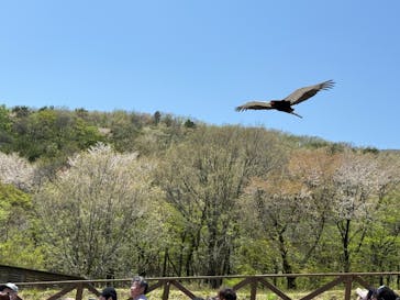 那須どうぶつ王国に投稿された画像（2025/5/4）
