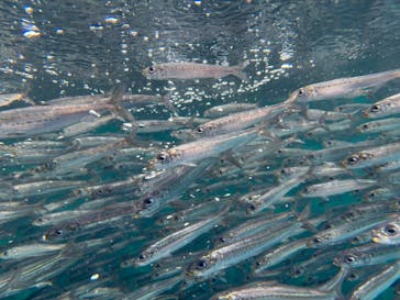 環境水族館アクアマリンふくしまに投稿された画像（2025/5/4）
