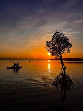  マリンショップHAPPYに投稿された画像（2025/5/4）