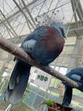 掛川花鳥園に投稿された画像（2025/5/4）