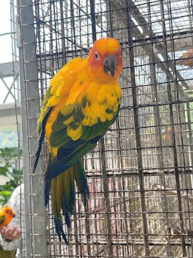 掛川花鳥園に投稿された画像（2025/5/4）