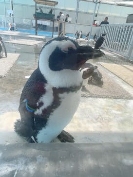 掛川花鳥園に投稿された画像（2025/5/4）