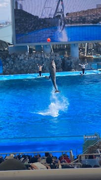 名古屋港水族館に投稿された画像（2025/5/4）