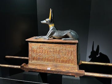 MYSTERY OF TUTANKHAMEN 体感型古代エジプト展に投稿された画像（2025/5/4）