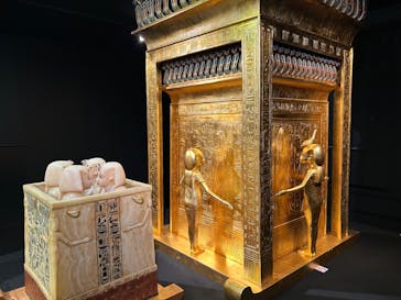 MYSTERY OF TUTANKHAMEN 体感型古代エジプト展に投稿された画像（2025/5/4）