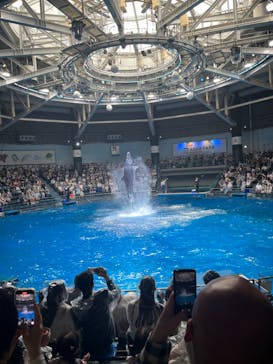 マクセル アクアパーク品川に投稿された画像（2025/5/4）