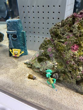 AOAO SAPPOROに投稿された画像（2025/5/4）