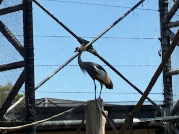 天王寺動物園に投稿された画像（2025/5/4）