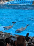 名古屋港水族館に投稿された画像（2025/5/4）