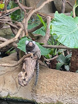 那須どうぶつ王国に投稿された画像（2025/5/4）