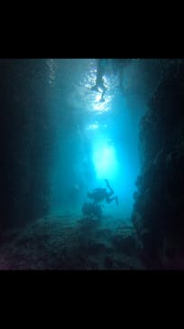 武藤潜水に投稿された画像（2025/5/4）